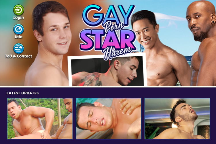 Gay Porn Star Harem tour page