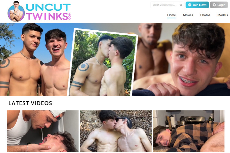 UncutTwinks tour page