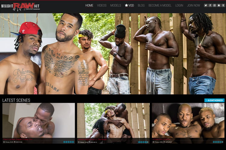 BreedItRaw tour page
