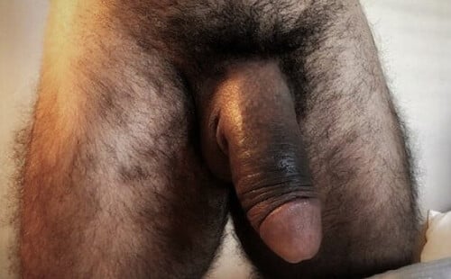 Hot and furrest dick