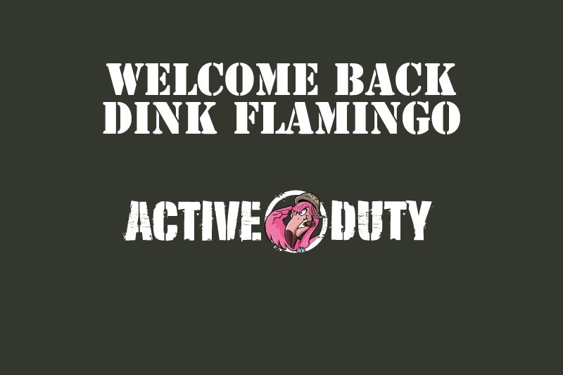 Dink Flamingo Returns to Active Duty