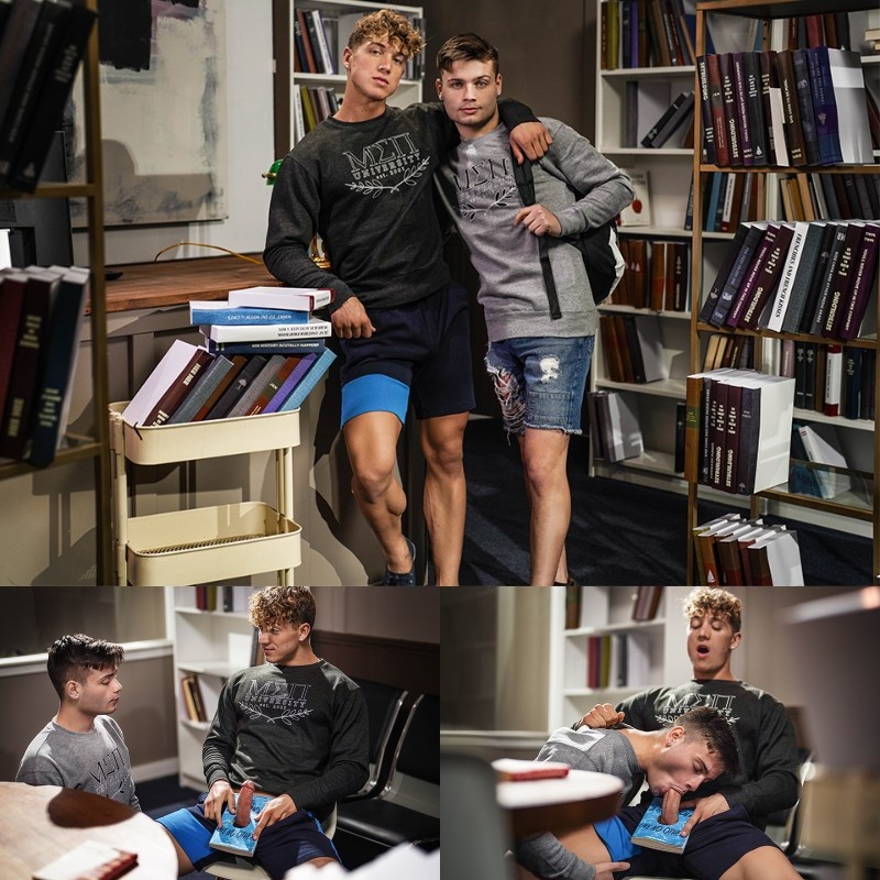 College Boys Fucking in the Library