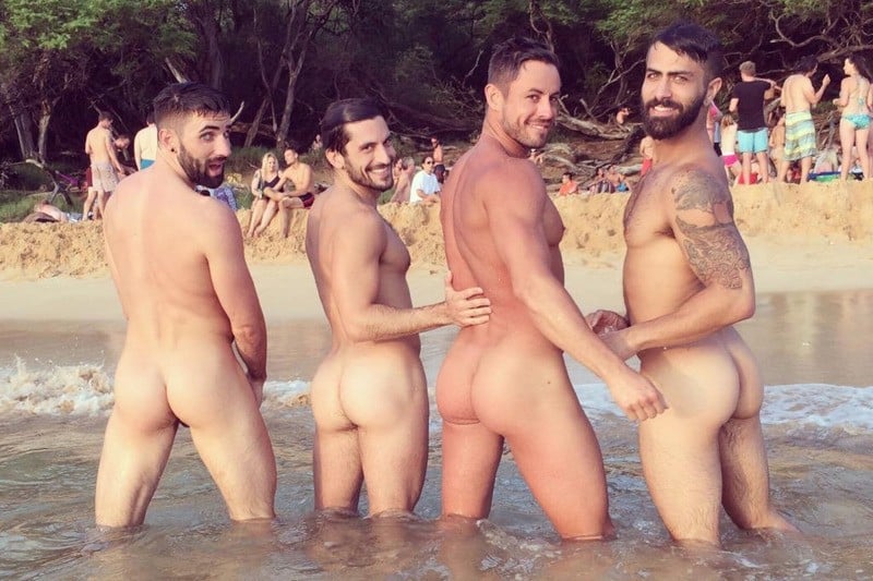 Public Exposure: Beach Party Penis