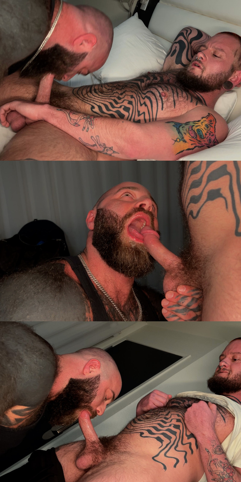 Logan Loads Sucked Off From A Total Cock Enthusiast!