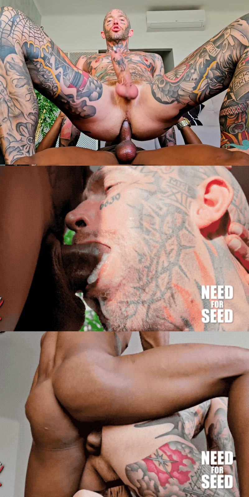 Ink rides Henry Ebano's dick and milks it dry