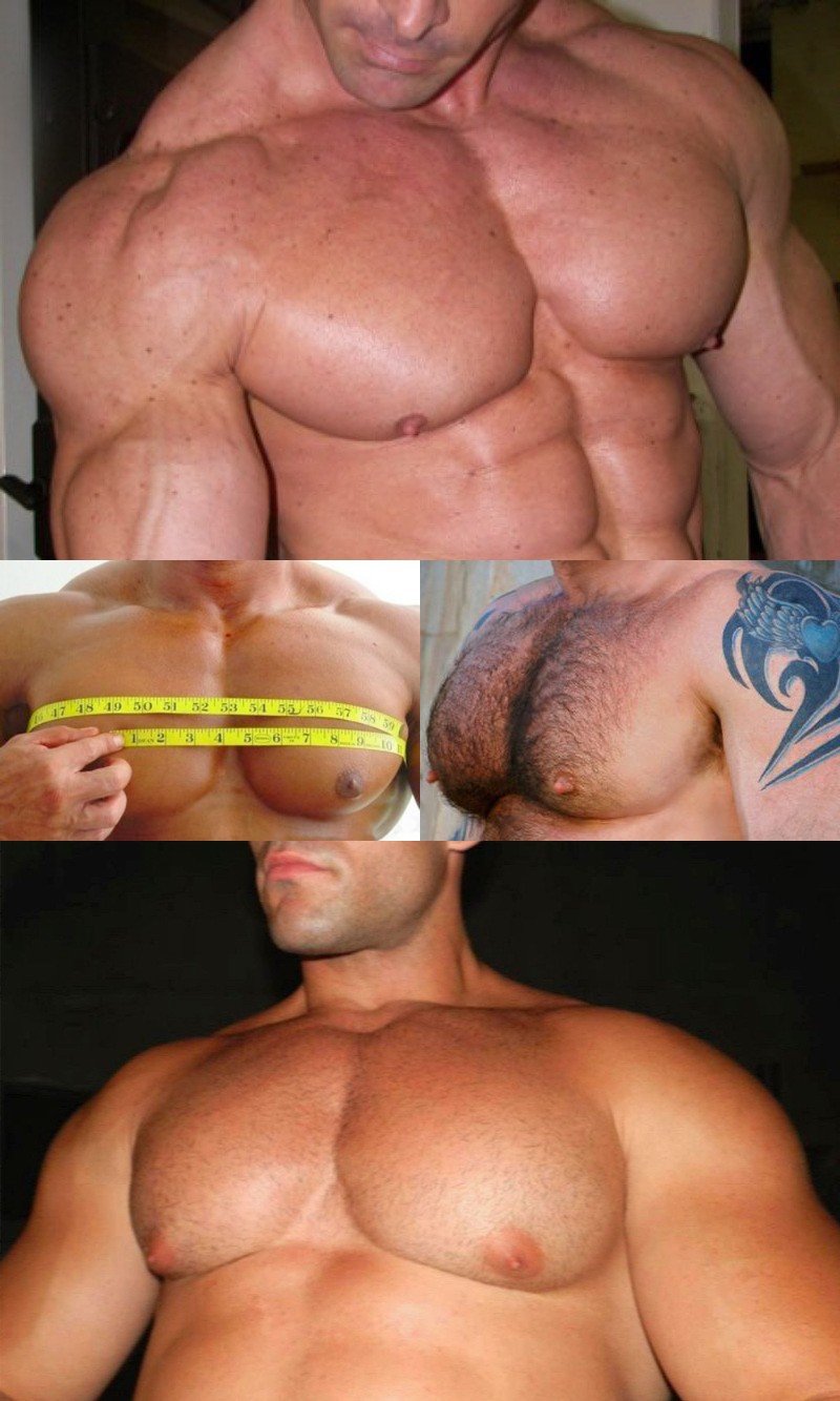 Kink Spotlight: Pec Obsession