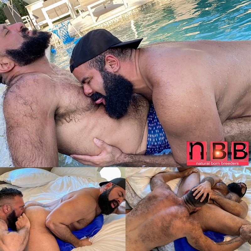 Hairy Bear Gets Hung Daddy Revved Up in the Pool