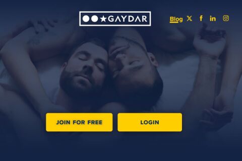 Gaydar
