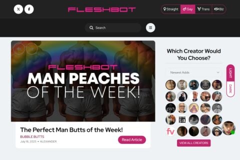 FleshBot Gay