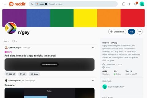 Reddit Gay