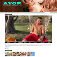 member area screenshot from AyorStudios