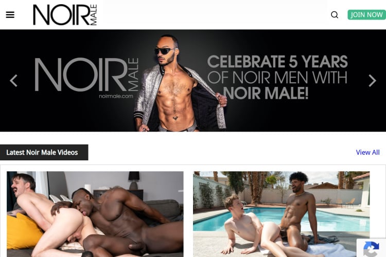 Noir Male