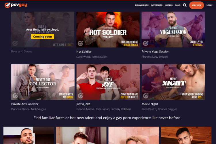 POV Gay