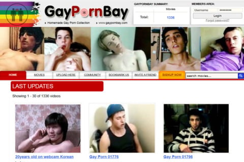 Gay Porn Bay