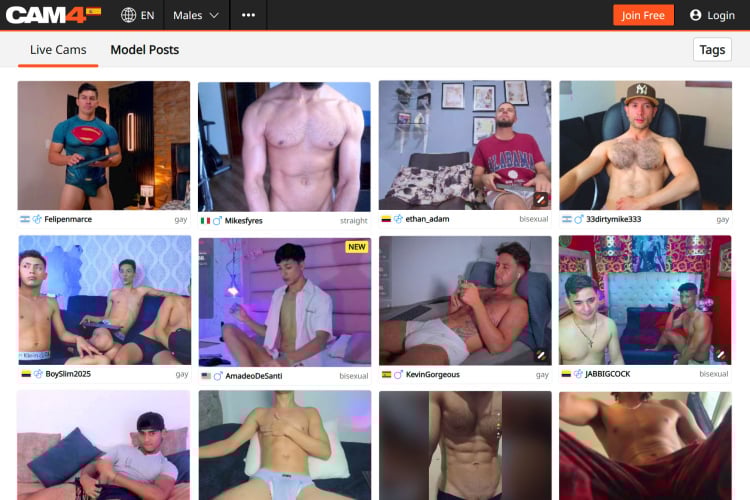 Cam 4 Male