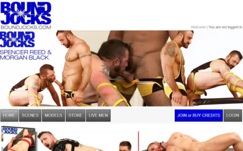 Gay Bondage Porn Sites - GayDemon
