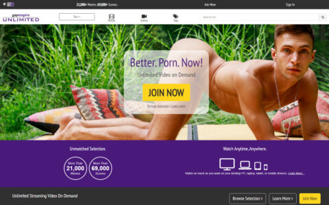 Gay DVD Empire Unlimited