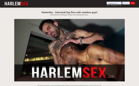 Harlem Sex