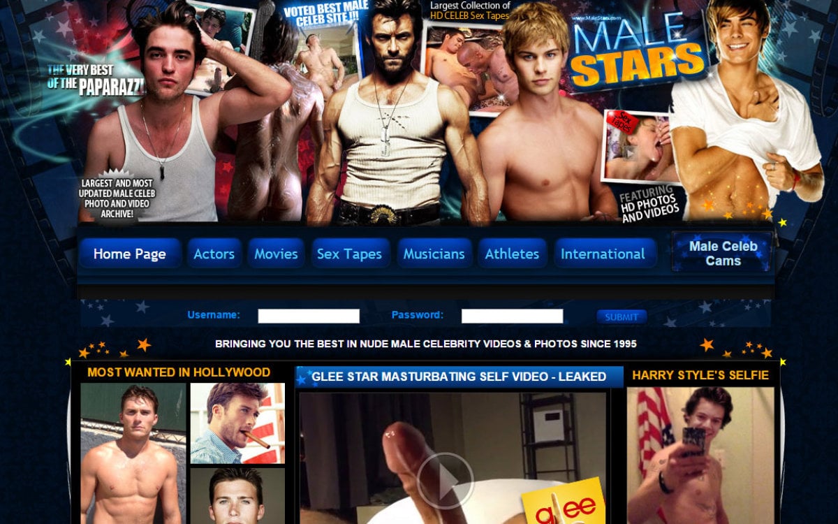 Male Stars Review of malestars