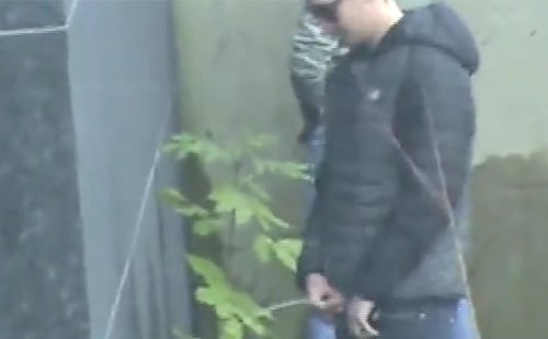 Handsome guy pissing in a park in public