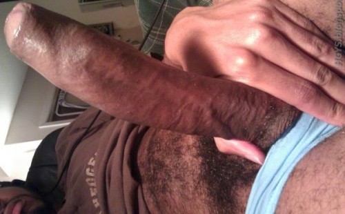 Hairy Hard Uncut Dicks