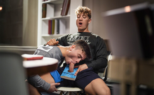 College Boys Fucking in the Library