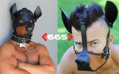 665 Uveil the Dog Muzzle Hood and Dog Training Hood