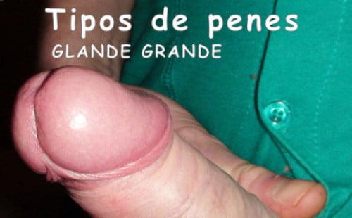 Tipos de pollas  : Glande Grande