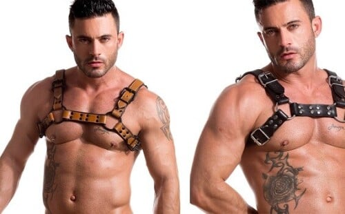 Gay Adult Stars Modes Go Mainstream Black Saddle Bulldog x Auburn Harness