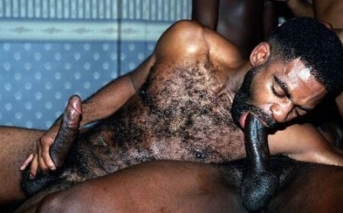 Hairy black