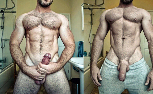 Fit and muscle bears