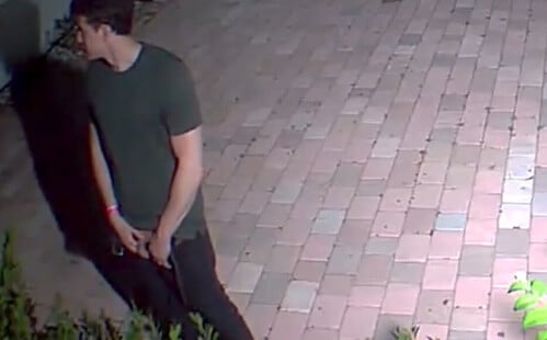 Drunk guys caught peeing in backyard by spycam
