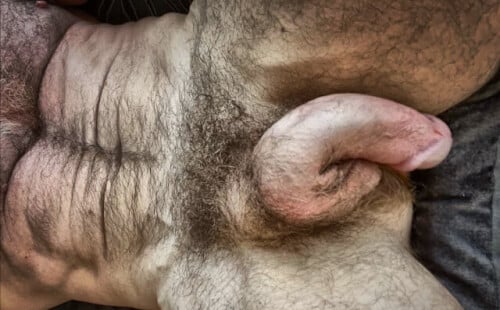 Big and bush