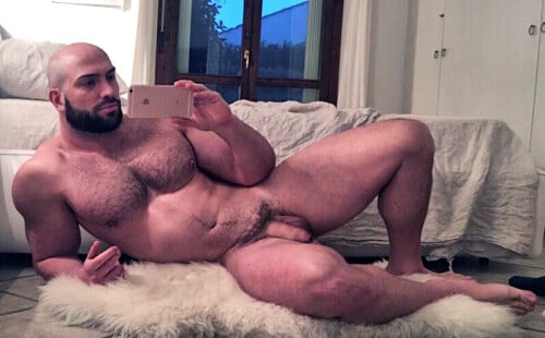 Sexy big bears