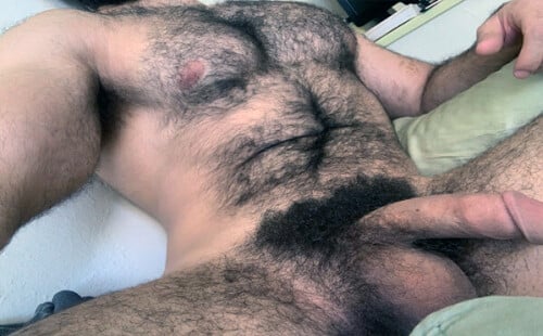 Hairy dicks