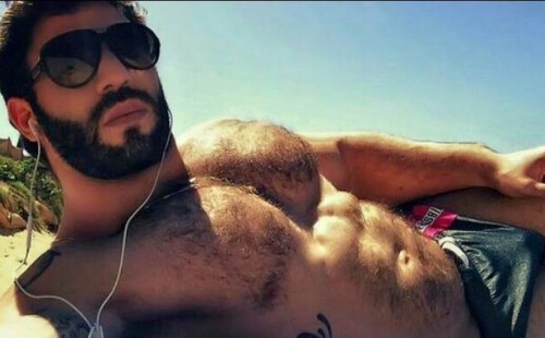 Hot Hairy Hunks