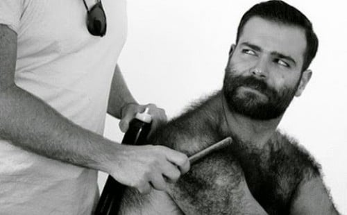 Hot and Hairy Bears