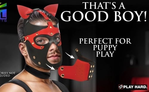 Prepare Yourself for the Hound Hood with Muzzle