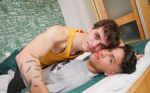 Two Horny Bedmates