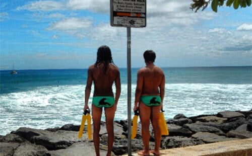 Professional Speedo Athletes
