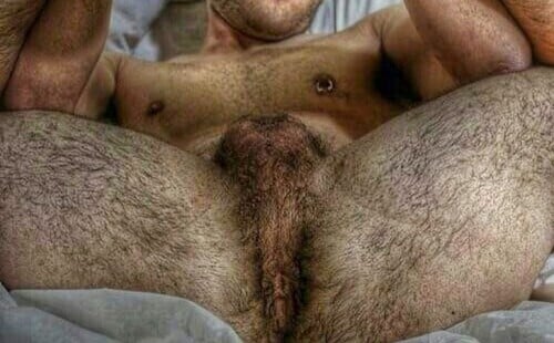 Culos Abiertos y Peludos / Hairy Open Asses