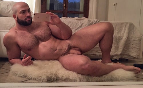 Sexy big bears