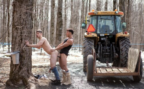 Syrup Maker Rides Dick Among the Maple Trees