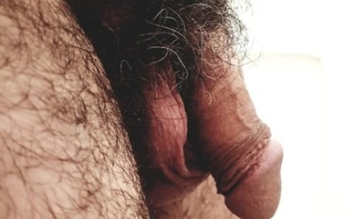 Old hairy dicks