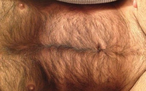 Sexy Hairy Bears
