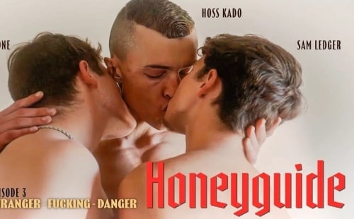 Honeyguide Chapter 3: Kame Stone, Sam Ledger & Hoss Kado