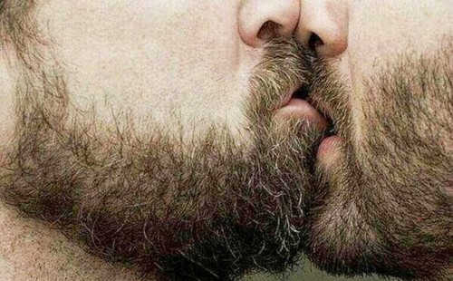 Hot Hairy Bear Couple