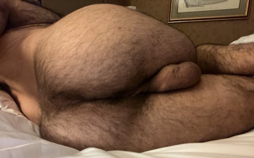 Furrest holes