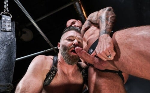 Backroom Cruising delivers Rob Montana and Michael Roman