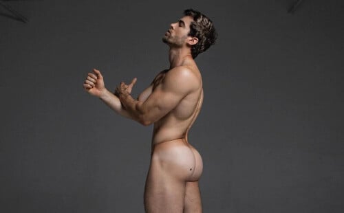David's Ass Is Wonderous